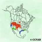 White-faced Ibis range map