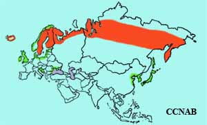 Whooper Swan range map