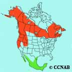 Wilson's Warbler range map