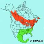Yellow-bellied Sapsucker range map