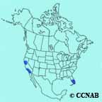 Yellow-chevroned Parakeet range