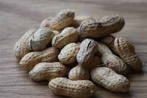 shelled peanuts