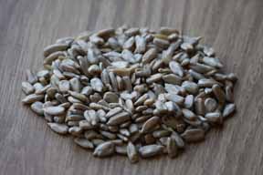 sunflower-hearts